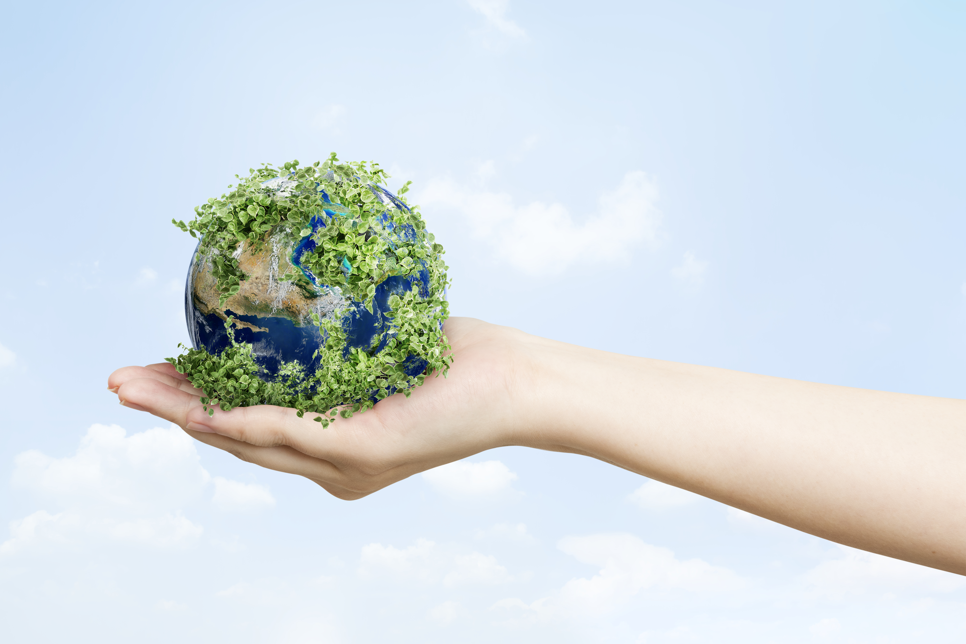 Investovaním do zelených projektov chránime planétu. Dokonca viac ako keď prestaneme lietať lietadlom